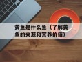 黄鱼是什么鱼（了解黄鱼的来源和营养价值）