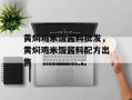 黄焖鸡米饭酱料批发，黄焖鸡米饭酱料配方出售