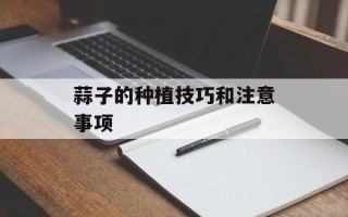 蒜子的种植技巧和注意事项