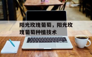 阳光玫瑰葡萄，阳光玫瑰葡萄种植技术