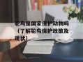 鸵鸟是国家保护动物吗（了解鸵鸟保护政策及现状）