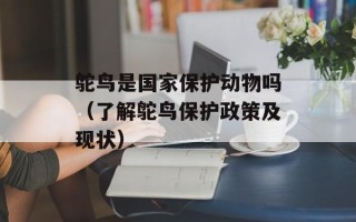 鸵鸟是国家保护动物吗（了解鸵鸟保护政策及现状）