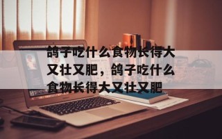 鸽子吃什么食物长得大又壮又肥，鸽子吃什么食物长得大又壮又肥