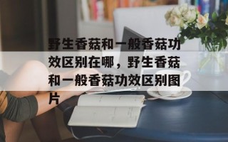 野生香菇和一般香菇功效区别在哪，野生香菇和一般香菇功效区别图片