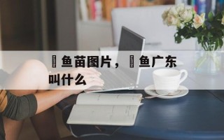 鳡鱼苗图片，鳡鱼广东叫什么