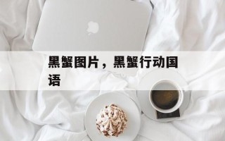 黑蟹图片，黑蟹行动国语
