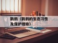 鹳鹤（鹳鹤的生态习性及保护措施）