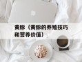 黄豚（黄豚的养殖技巧和营养价值）