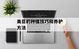 美豆的种植技巧和养护方法