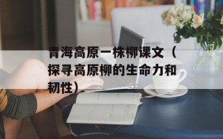 青海高原一株柳课文（探寻高原柳的生命力和韧性）
