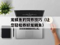 龙鳞鱼的饲养技巧（让您轻松养好龙鳞鱼）