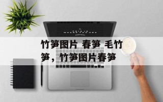 竹笋图片 春笋 毛竹笋，竹笋图片春笋