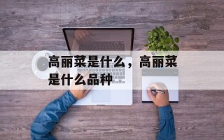 高丽菜是什么，高丽菜是什么品种
