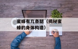 蜜蜂有几条腿（揭秘蜜蜂的身体构造）