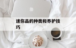 迷你品的种类和养护技巧