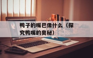 鸭子的嘴巴像什么（探究鸭嘴的奥秘）