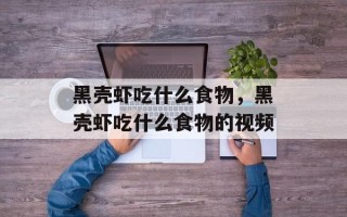 黑壳虾吃什么食物，黑壳虾吃什么食物的视频