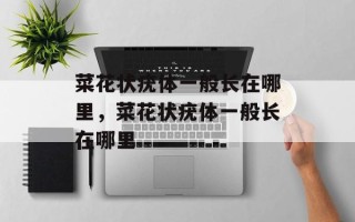 菜花状疣体一般长在哪里，菜花状疣体一般长在哪里