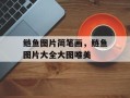 鲢鱼图片简笔画，鲢鱼图片大全大图唯美