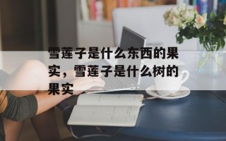 雪莲子是什么东西的果实，雪莲子是什么树的果实