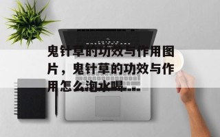 鬼针草的功效与作用图片，鬼针草的功效与作用怎么泡水喝