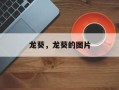 龙葵，龙葵的图片