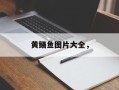 黄鳝鱼图片大全，