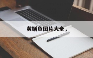 黄鳝鱼图片大全，
