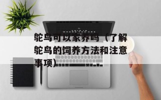 鸵鸟可以家养吗（了解鸵鸟的饲养方法和注意事项）