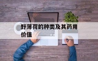 野薄荷的种类及其药用价值