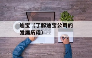 迪宝（了解迪宝公司的发展历程）