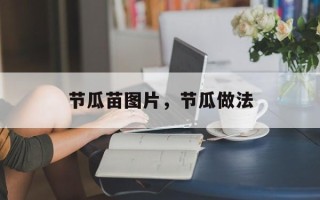 节瓜苗图片，节瓜做法