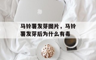 马铃薯发芽图片，马铃薯发芽后为什么有毒