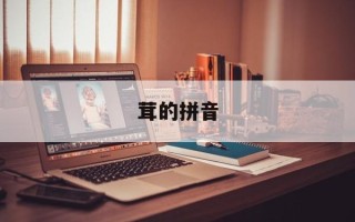 茸的拼音
