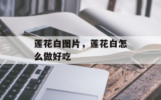 莲花白图片，莲花白怎么做好吃