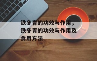 铁冬青的功效与作用，铁冬青的功效与作用及食用方法