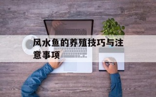 风水鱼的养殖技巧与注意事项