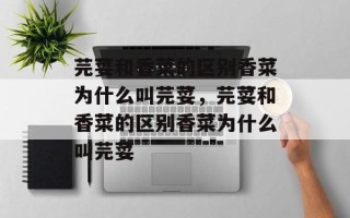 芫荽和香菜的区别香菜为什么叫芫荽，芫荽和香菜的区别香菜为什么叫芫荽