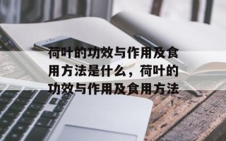 荷叶的功效与作用及食用方法是什么，荷叶的功效与作用及食用方法