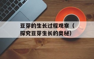 豆芽的生长过程观察（探究豆芽生长的奥秘）