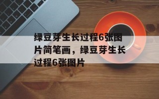 绿豆芽生长过程6张图片简笔画，绿豆芽生长过程6张图片