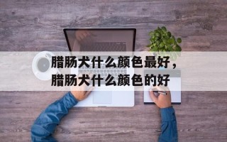 腊肠犬什么颜色最好，腊肠犬什么颜色的好