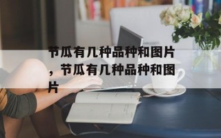 节瓜有几种品种和图片，节瓜有几种品种和图片