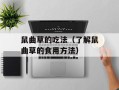 鼠曲草的吃法（了解鼠曲草的食用方法）