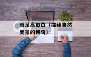 雨足高田白（描绘自然美景的诗句）