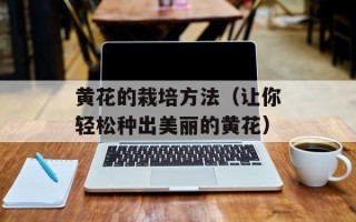 黄花的栽培方法（让你轻松种出美丽的黄花）