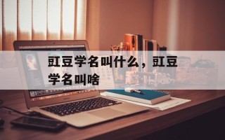 豇豆学名叫什么，豇豆学名叫啥