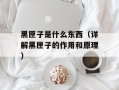 黑匣子是什么东西（详解黑匣子的作用和原理）