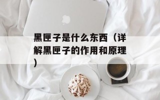 黑匣子是什么东西（详解黑匣子的作用和原理）