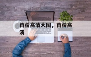 苜蓿高清大图，苜蓿高汤